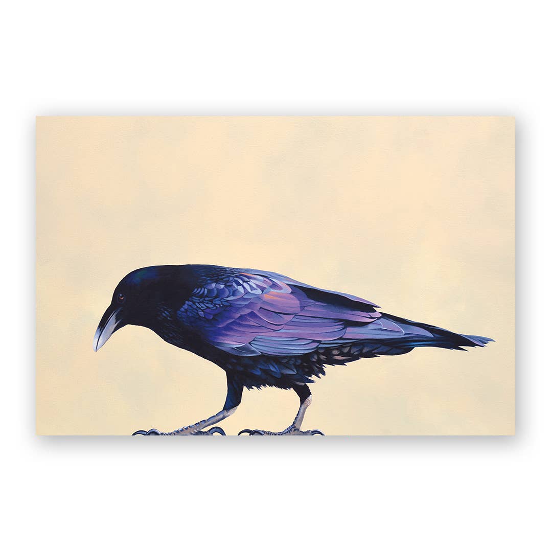 Raven Postcard