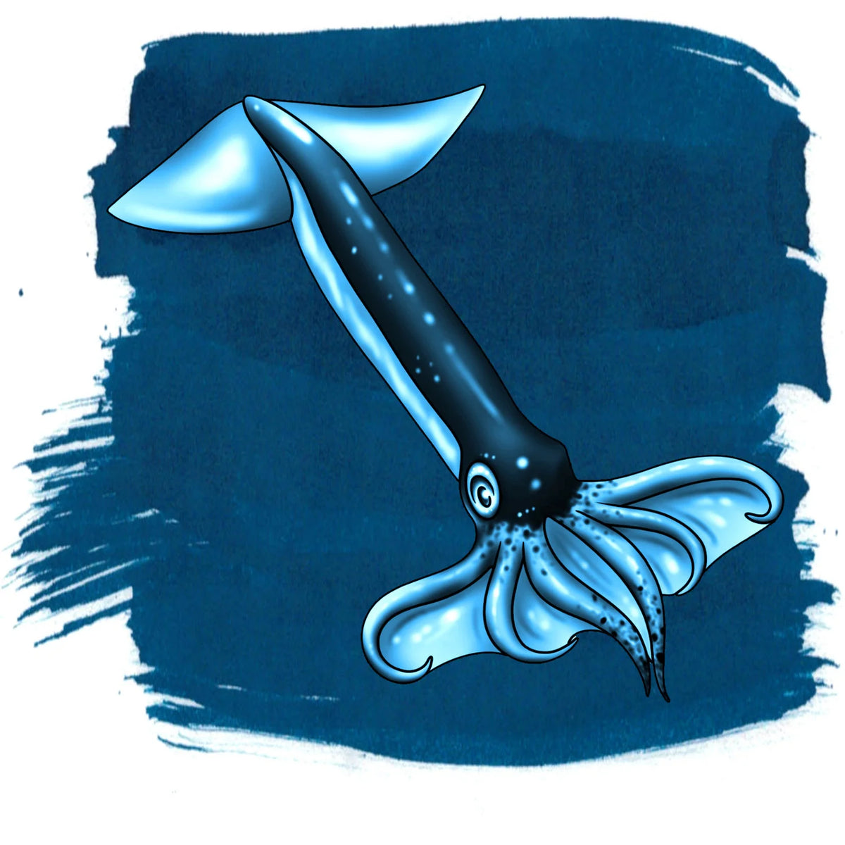 Anderillium Flying Squid Blue label illustration