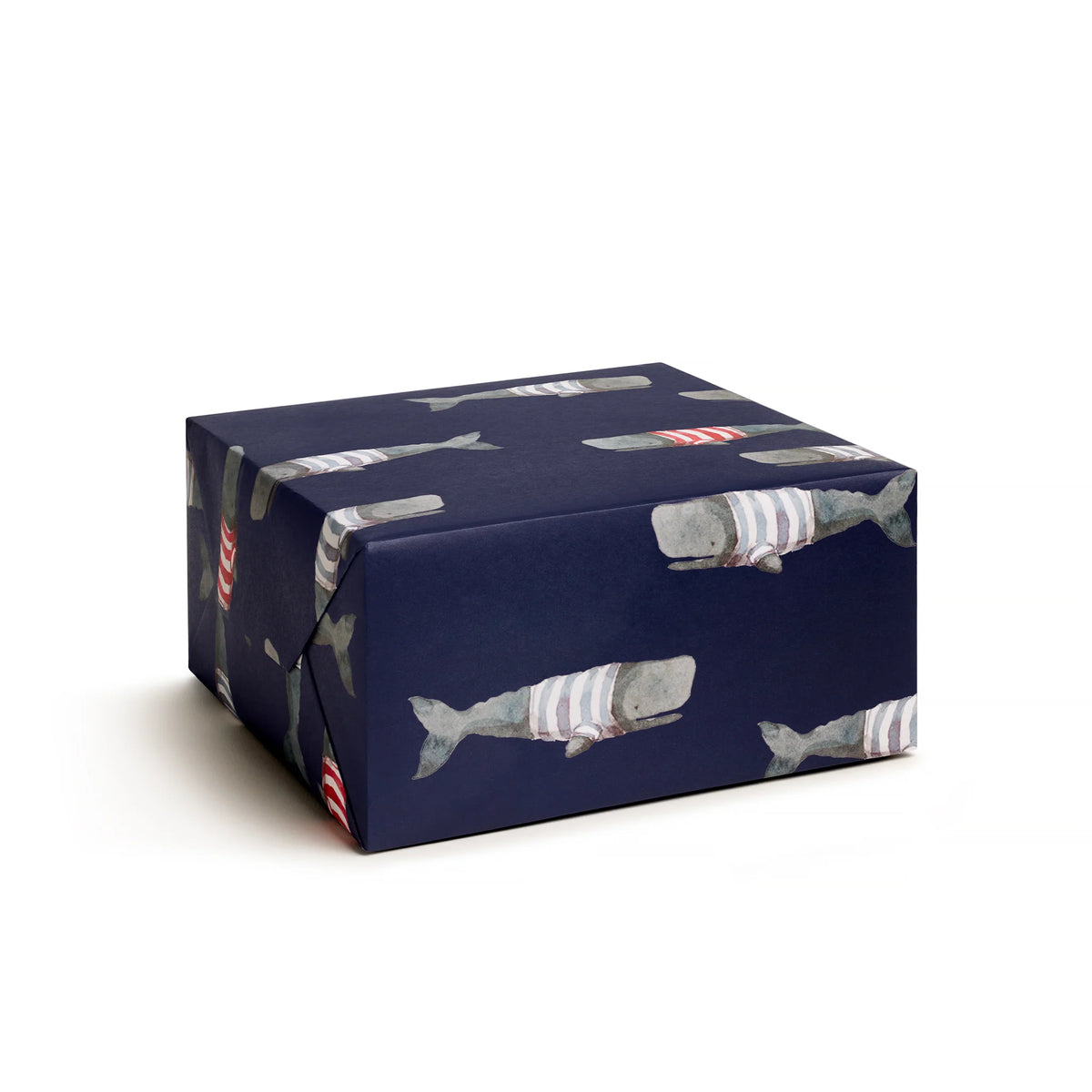 Frankie Gift Wrap