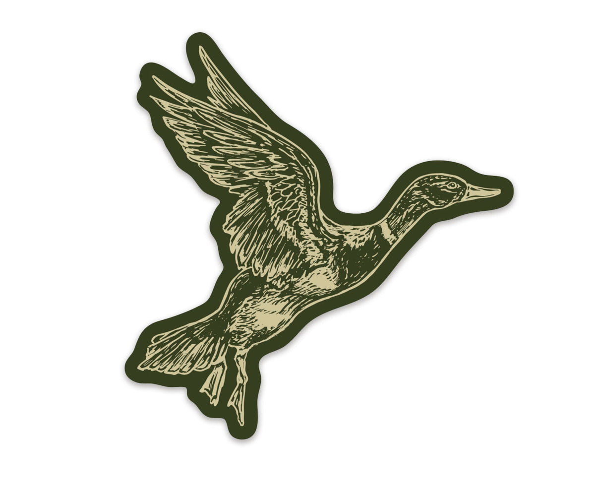 Mallard Duck Sticker