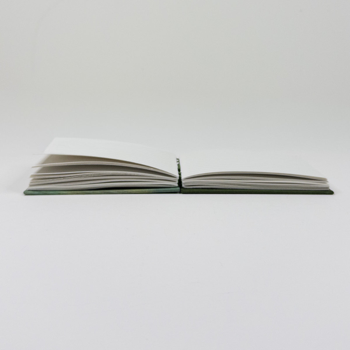 Coptic Stitch Handmade Book - Green & Pink
