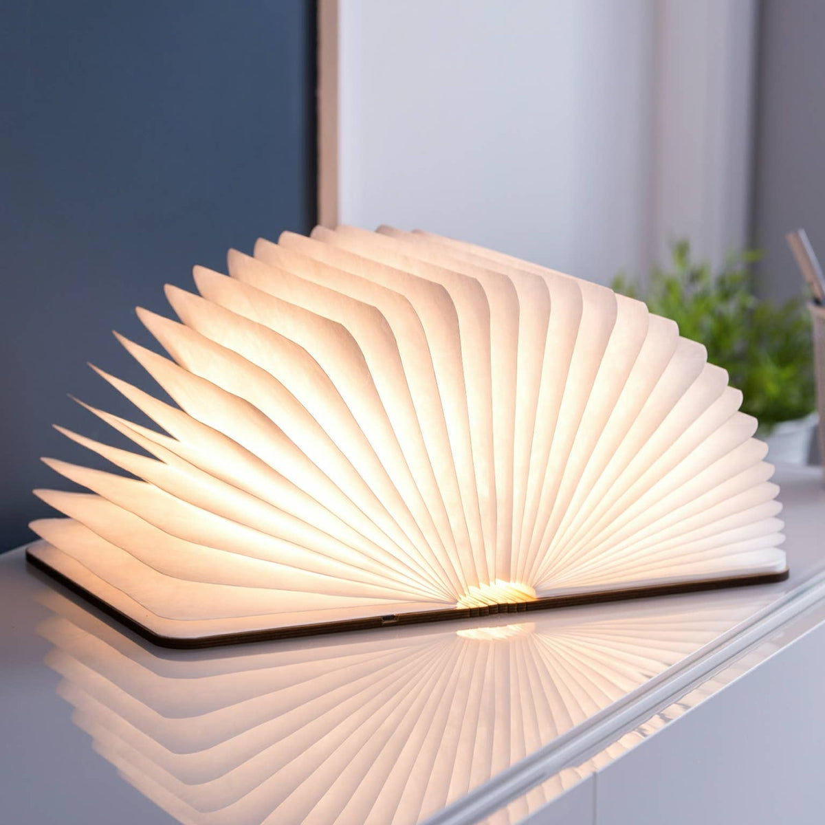 The book light fanned wide open, its lit pages spread in a broad arc