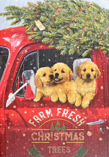 Festive Pups Small Boxed Holiday Cards