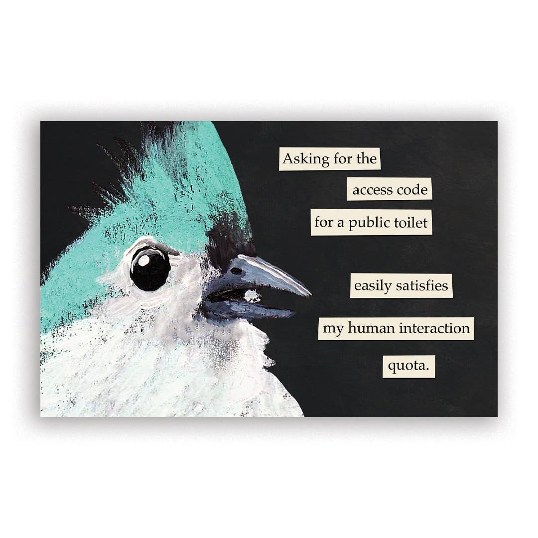 Troubled Birds 2027 Calendar