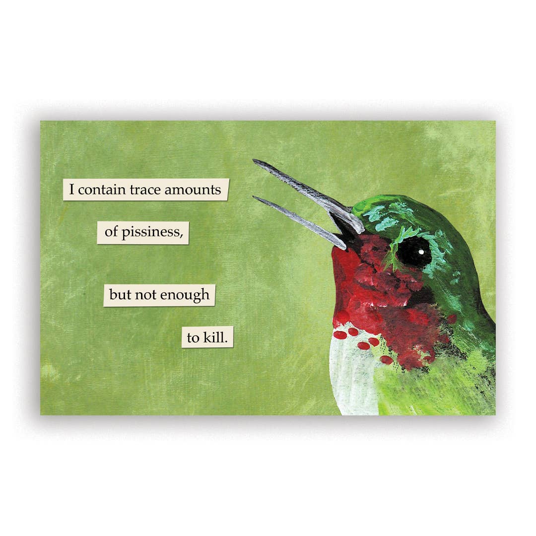 Troubled Birds 2027 Calendar