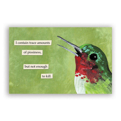 Troubled Birds 2027 Calendar