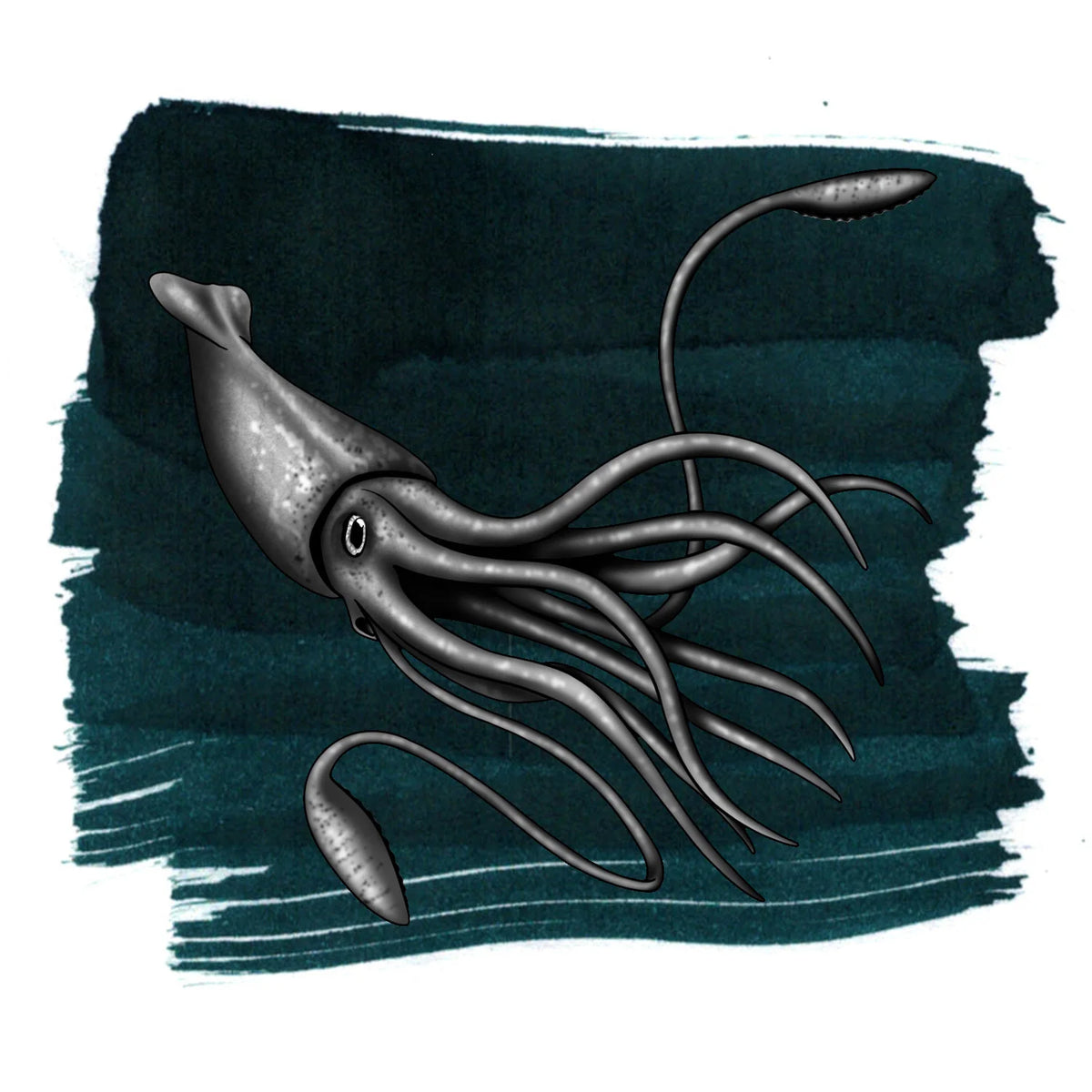 Anderillium Colossal Squid Dark label illustration
