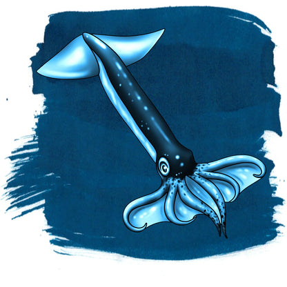 Anderillium Flying Squid Blue label illustration