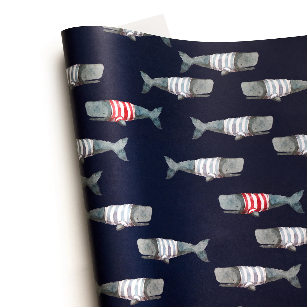 Frankie Gift Wrap