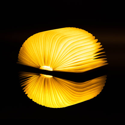 The book light open wide and glowing, reflected on a dark surface