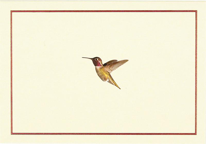 Hummingbird FlightNotes - Box of 14