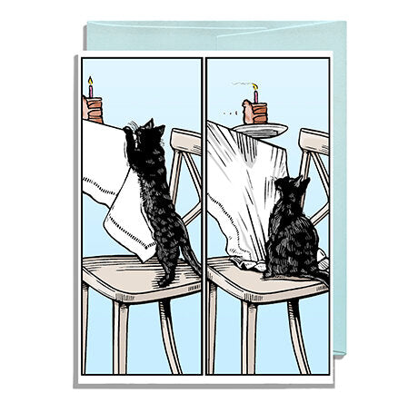Cat, Cake, Gravity
