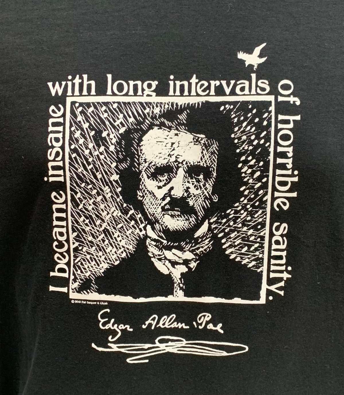 Poe Insanity T-Shirt