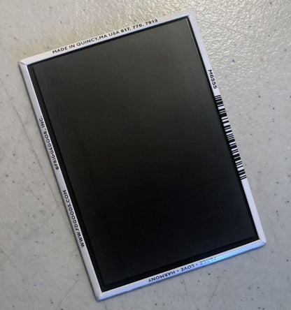 Marry My Hot Self Magnet